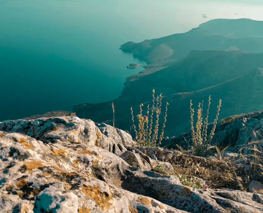 Hydra island vacations, horseriding